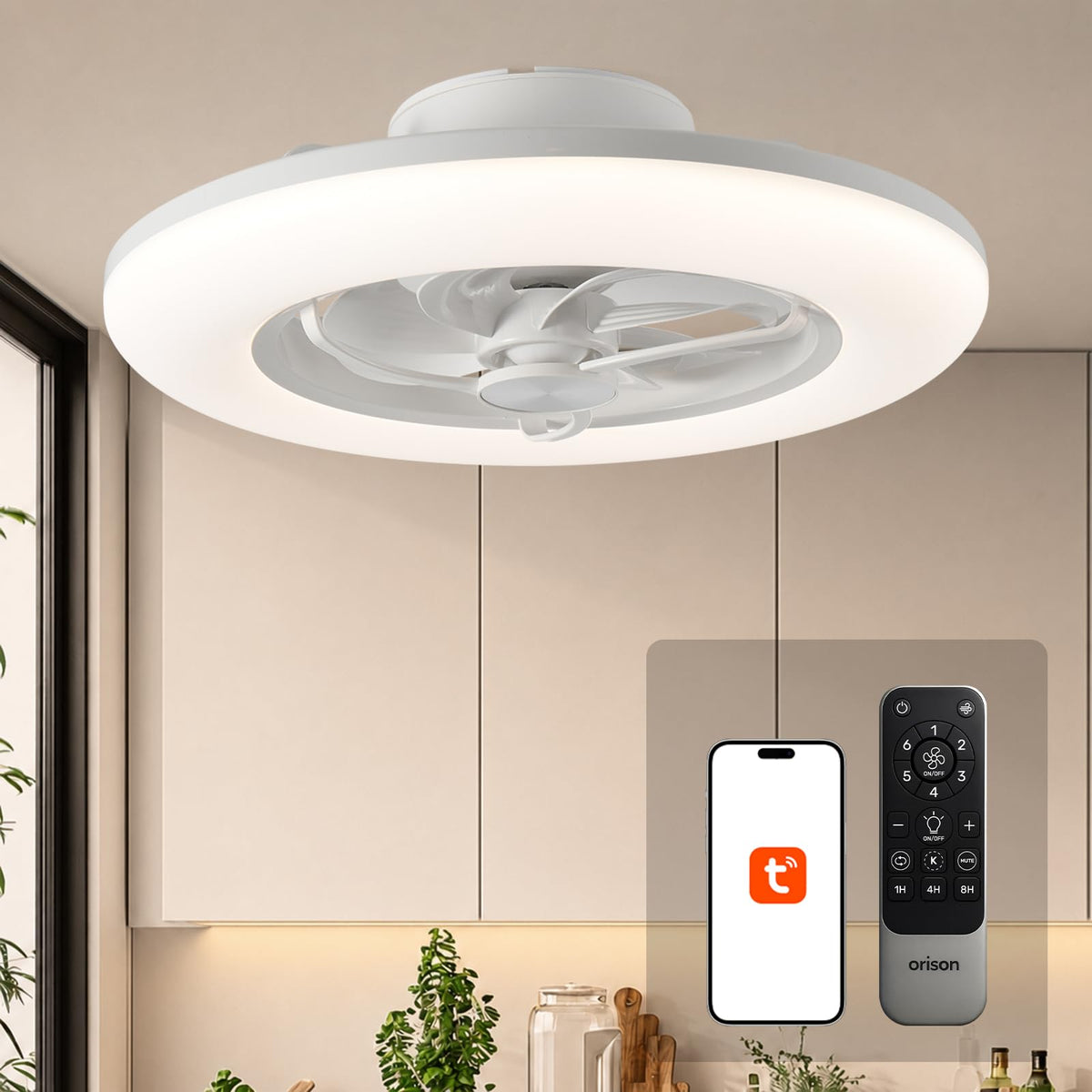 22" Ceiling Fan with Light