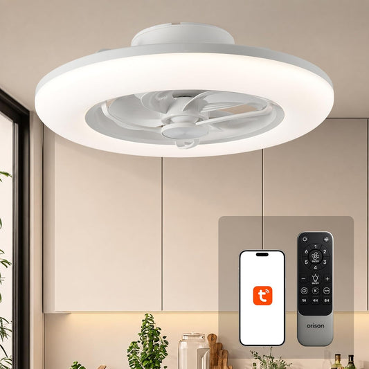 22" Ceiling Fan with Light